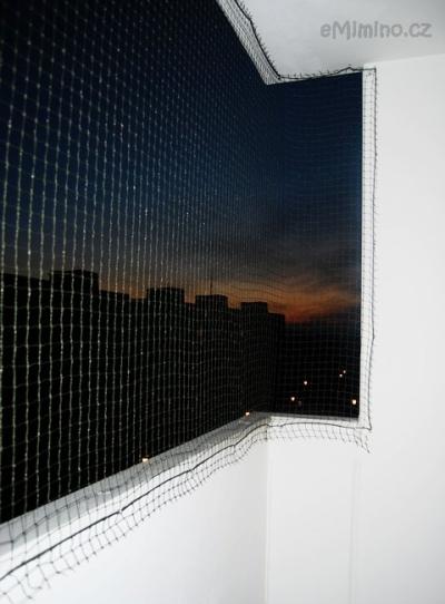 DSC_0939.JPG