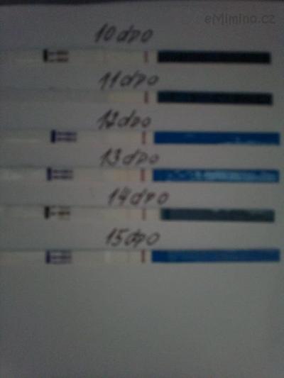 250320132916.jpg