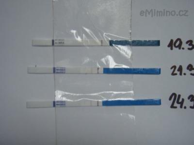 test.JPG
