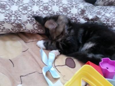 20130324_161233.jpg