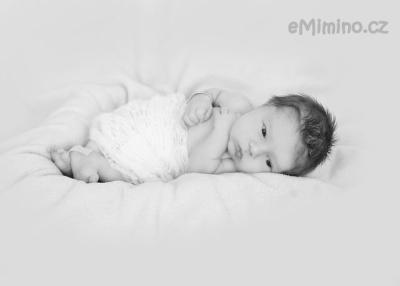 IMG_2162cb.jpg