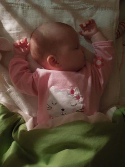 20130220.jpg