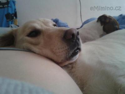 jessie a pupek.jpg
