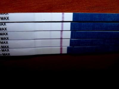 Pregnylky_6.4.2013_2.JPG