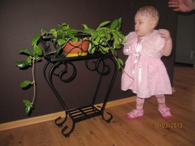 IMG_2963.JPG
