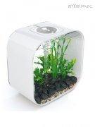 Biorb-30l-bily.jpg