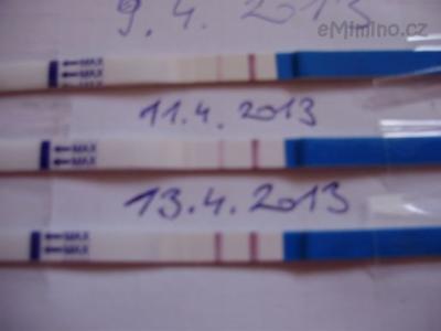 P1010873_01.JPG
