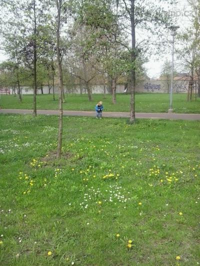 2013-04-30 12.08.31.jpg