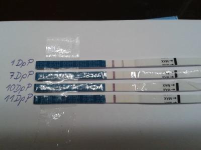 20130503_124129.jpg