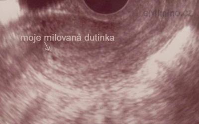 dutinka