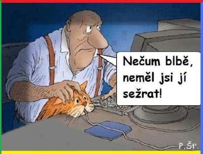 vtip s kočkou.jpg