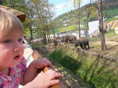 ZOO