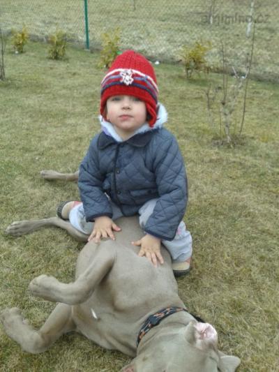 20130411_172822.jpg