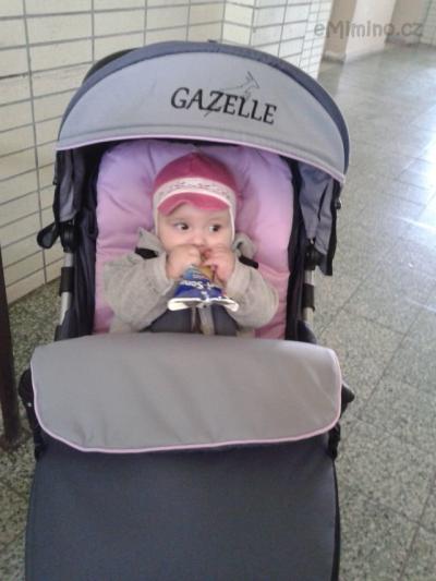 gazelle.jpg