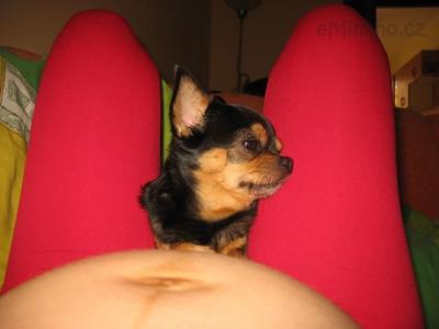 IMG_7778.JPG