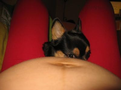 IMG_7781.JPG