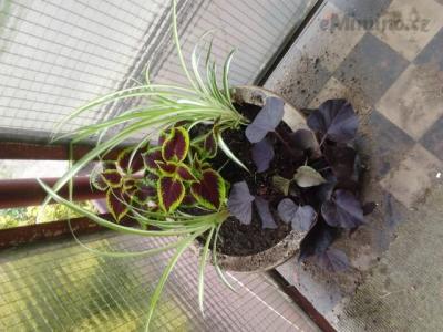2013-05-22 08.25.37.jpg