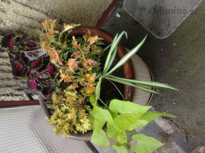 2013-05-22 08.25.26.jpg