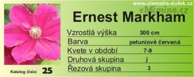25_klematis_Ernest_Markham.jpg