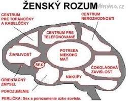 zenskymozek.jpeg