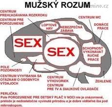 muzskymozek.jpeg