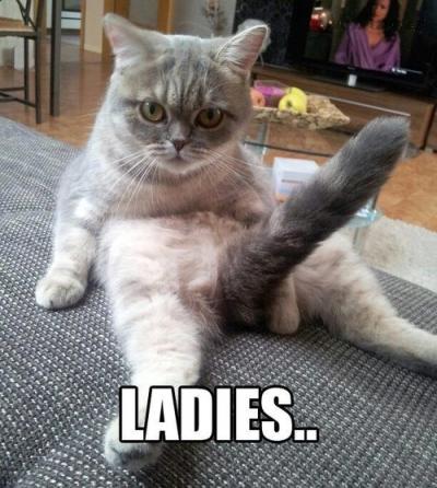 ladiess.jpg