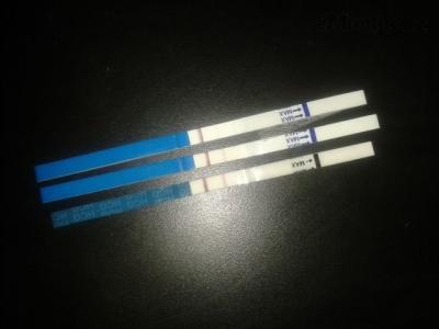 20130323_085501.jpg