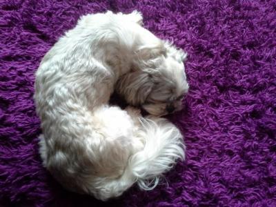 20130527_142550.jpg