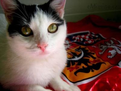 pIMG_5022 – kopie.JPG