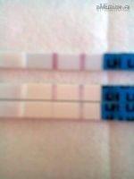 ovu test 3 modry.jpg