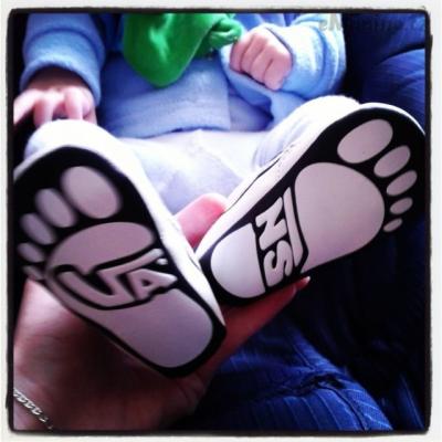 botkyvans