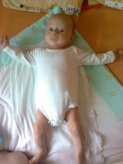 Obraz0239.jpg