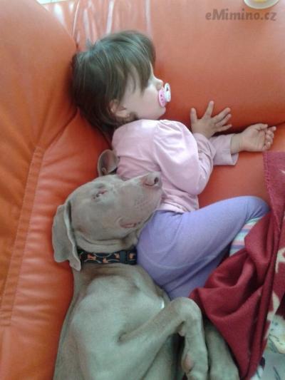 20130526_155249.jpg