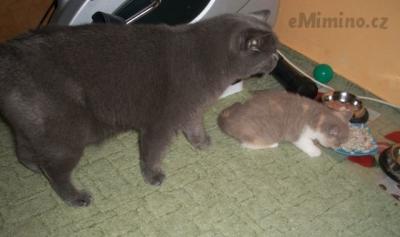 100_5280.JPG