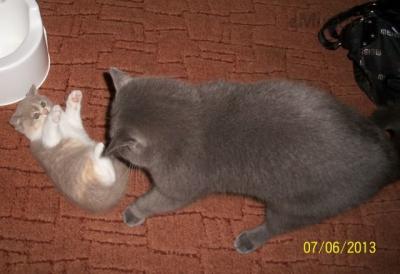 100_5279.JPG