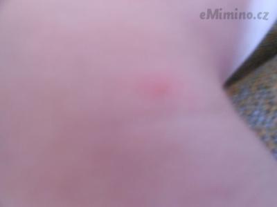 DSCN1547.JPG
