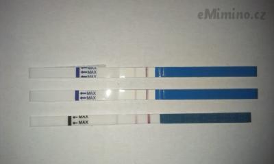 IMAG0103.jpg