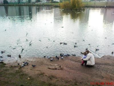 Lucí krmí ptáčky 1.JPG