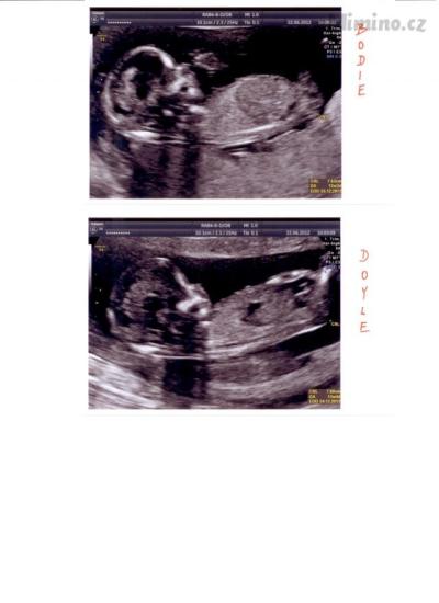UZ 22.6.2012.jpg
