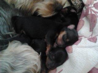 2013-06-11 15.37.31.jpg