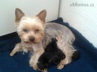 2013-06-11 11.52.54.jpg