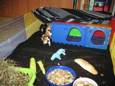 IMG_0049.JPG