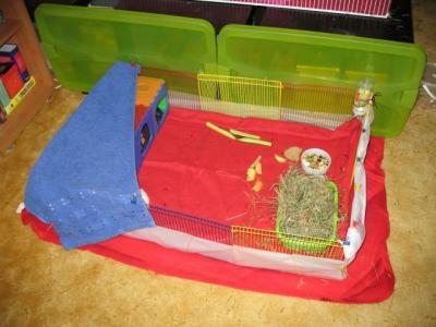 IMG_0001.JPG
