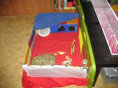IMG_0002.JPG