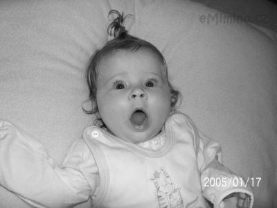100_1628.JPG