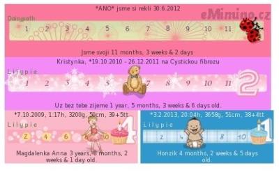metrik 22.6.2013.jpg