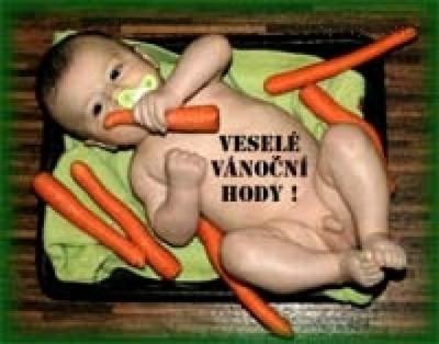 podpis vanoce 2009.jpg