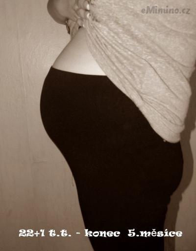 22+1 t.t.