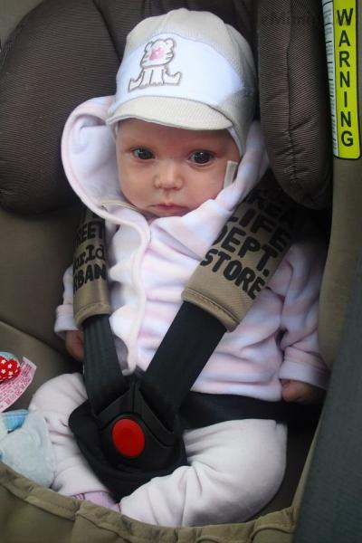 CIMG1341.JPG