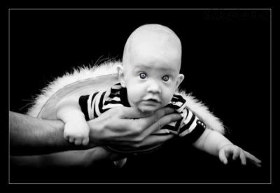 Andílek 6M